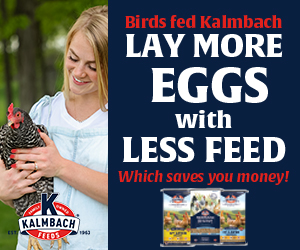 Special advertising offer